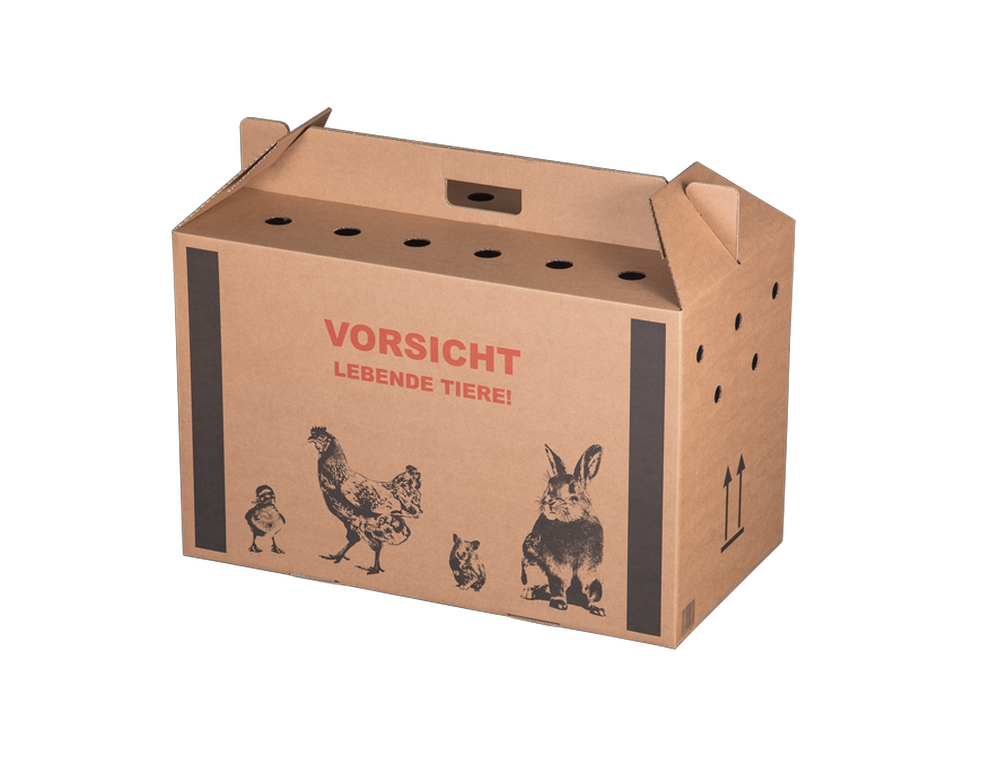 Transportkarton "Lebende Tiere", 580x309x369mm, braun, Groß